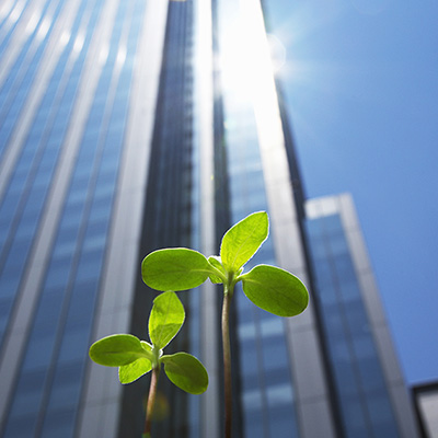 Sustainable Business in 2021: Insights from our students