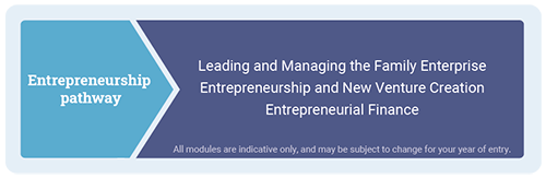 Entrepreneurship pathway