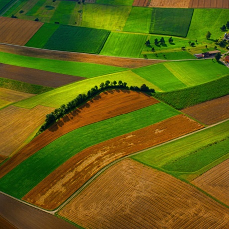 fields from the air