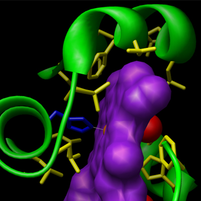 Thumbnail for Applied Data Science for Biologists
