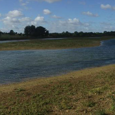 Thumbnail for Flood Risk Management - Online